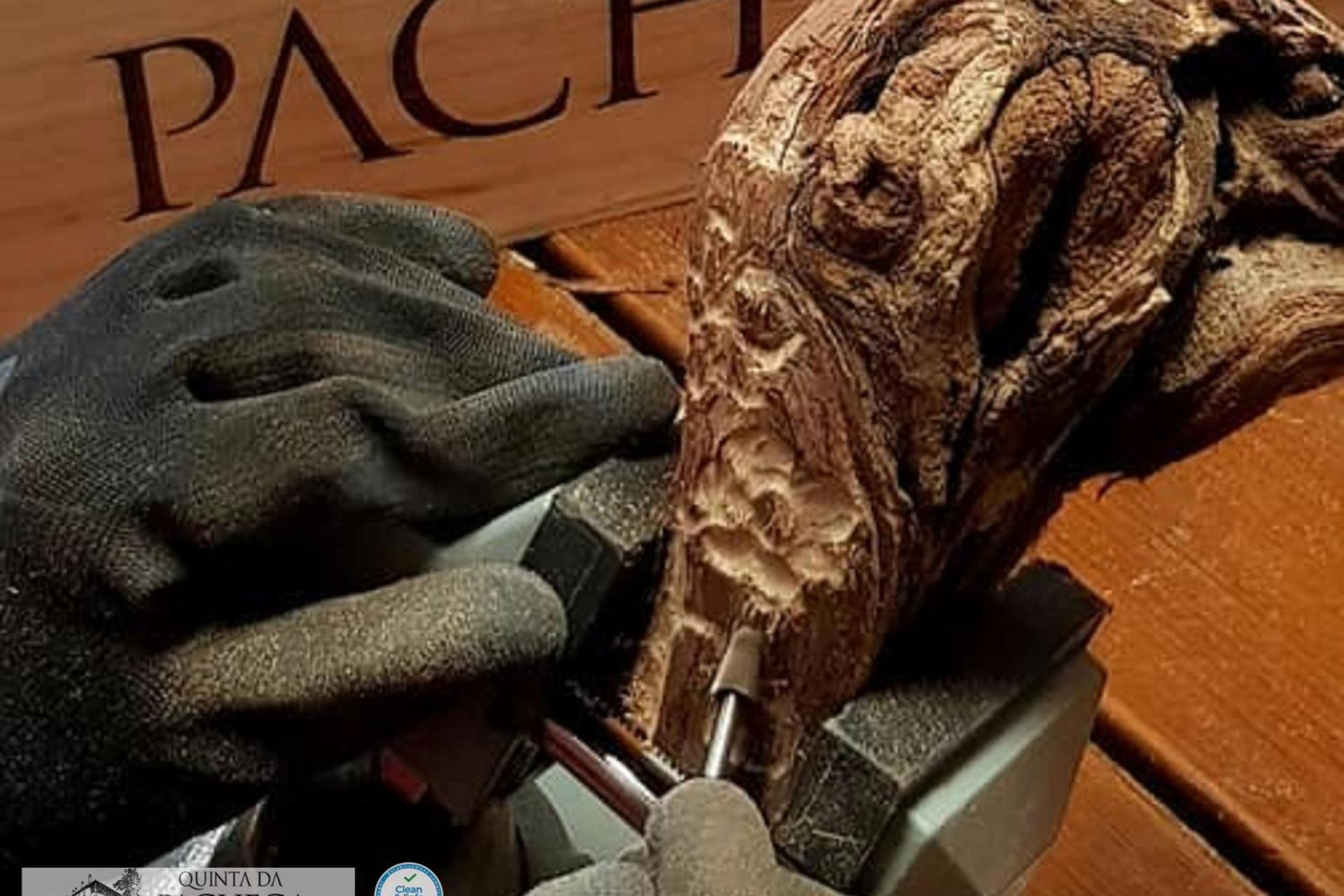 A Descoberta do Wine House Hotel - Quinta da Pacheca - Imagem 56