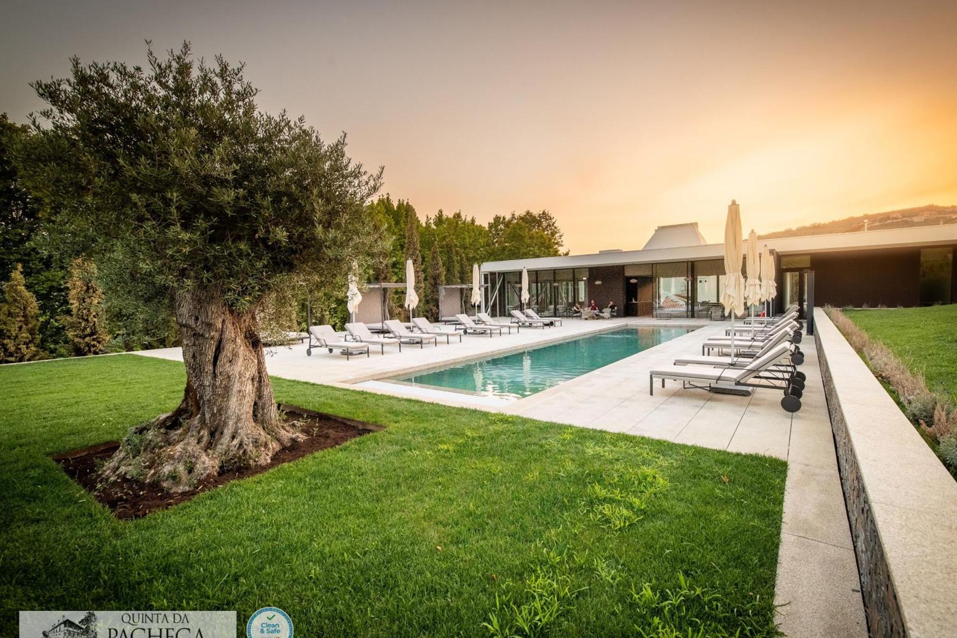 A Descoberta do Wine House Hotel - Quinta da Pacheca - Imagem 67