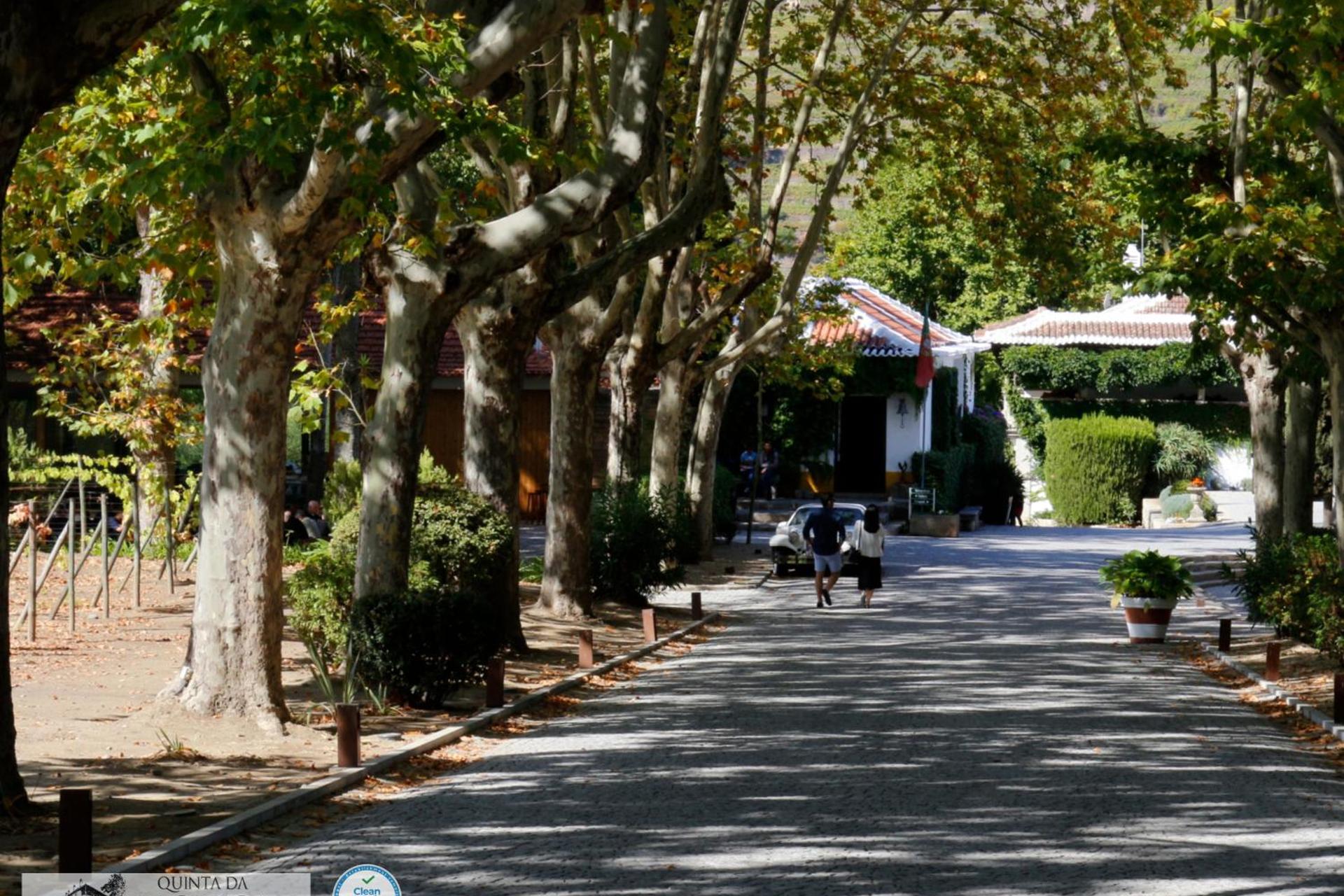 A Descoberta do Wine House Hotel - Quinta da Pacheca - Imagem 92