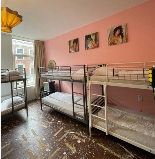 Bed in 10-Bed Mixed Dormitory Room