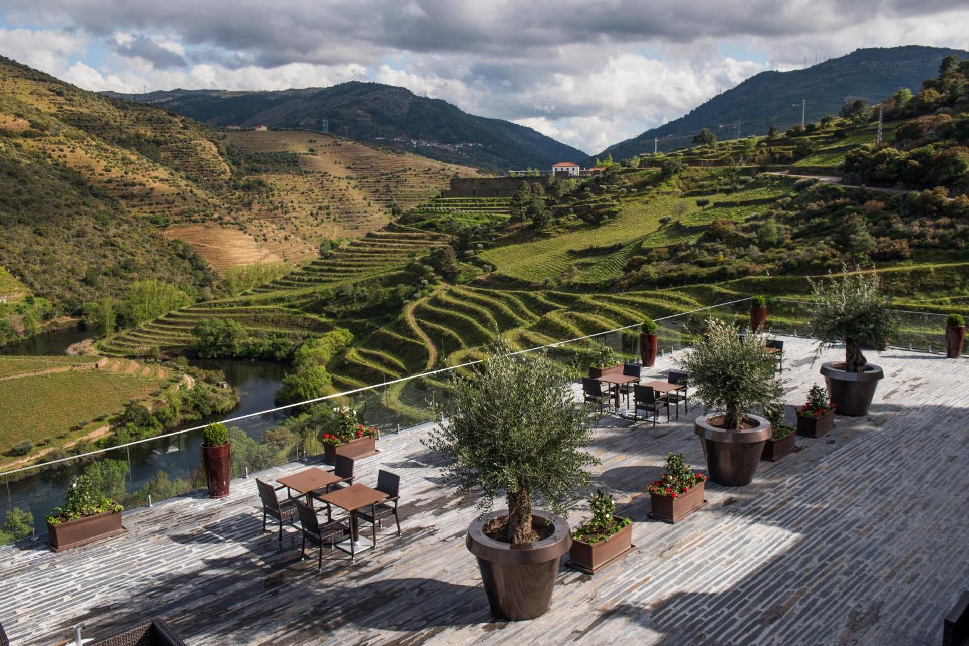 Descubra o Vila Galé Douro Vineyards: O Refúgio Perfeito no Coração do Douro - Imagem 57